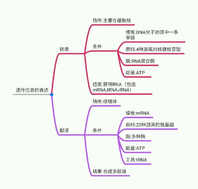 dna亲子鉴定技术篇:dna分子知识 稳定性:具有稳定的双螺旋结构